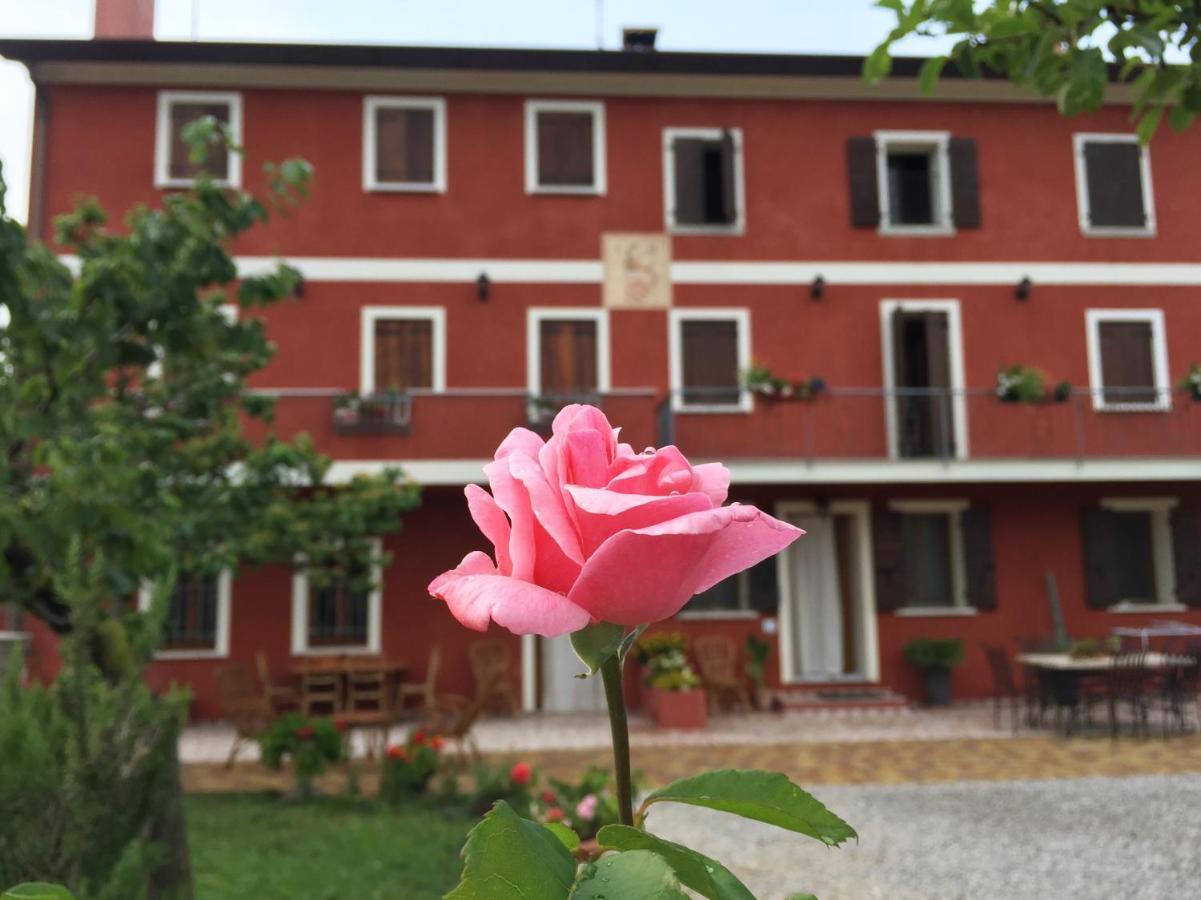 B&B Casa Del Conte Soligo Eksteriør billede