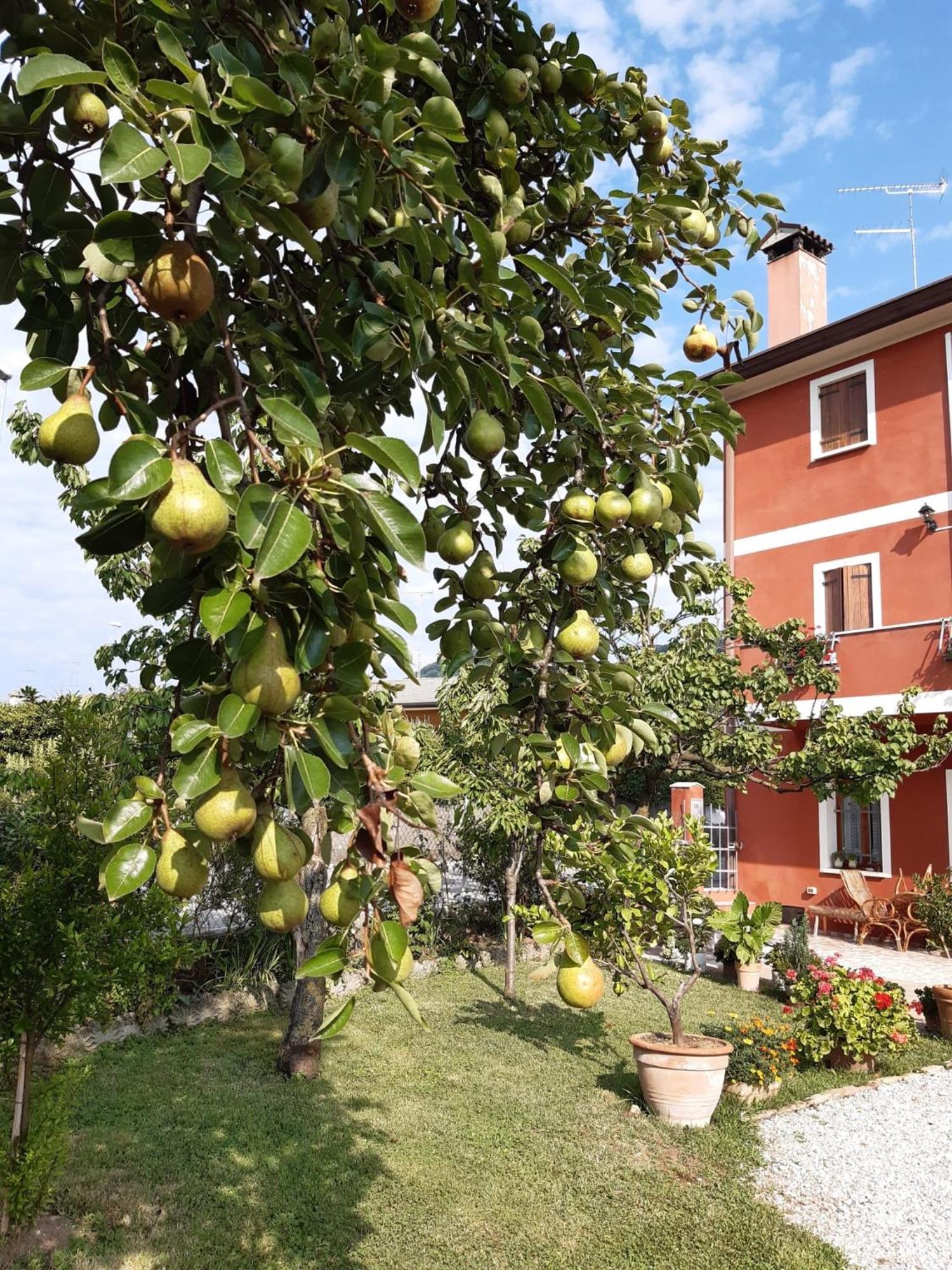 B&B Casa Del Conte Soligo Eksteriør billede
